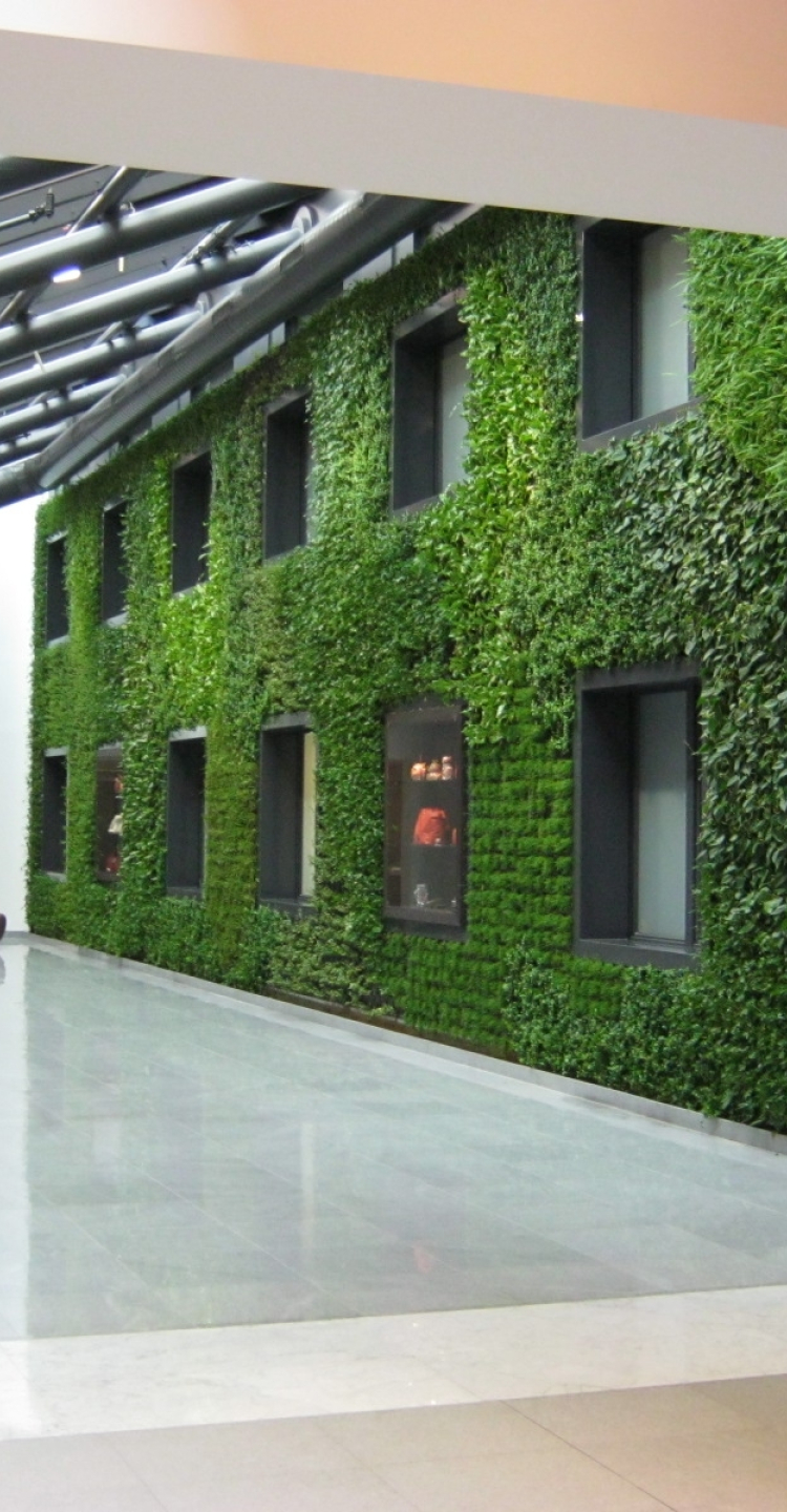 Daktuin 5.jpg