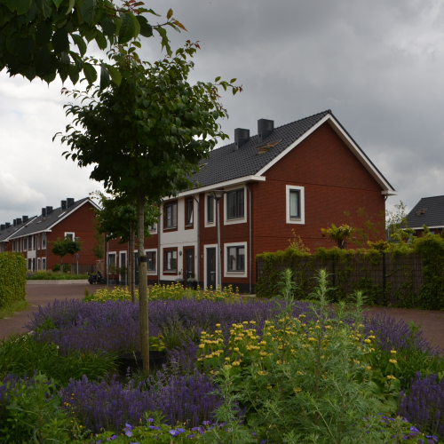 Terreininrichting woonwijk Schiedam