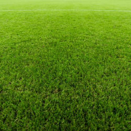 close up kunstgras