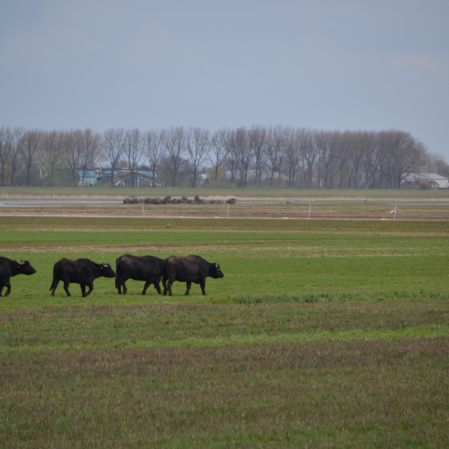 DSC_0032.JPG