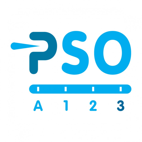 PSO.jpg