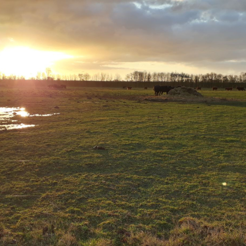 01 Noordwaard opruimen.JPG