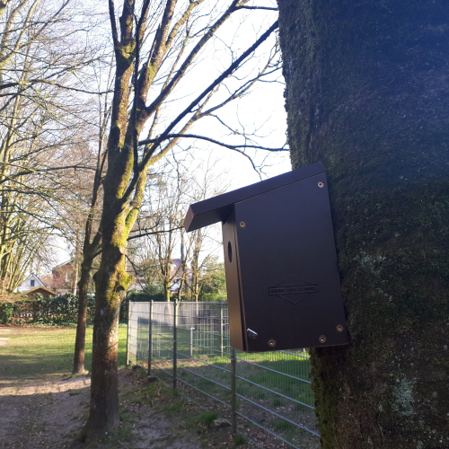 Ophangen vogelhuisjes (3).jpg