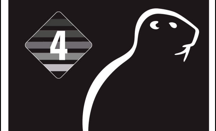 Kiwa Veiligheidsladder trede 4 logo NL.jpg