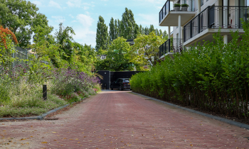 Straatwerk Tolsteegsingle Utrecht tuin