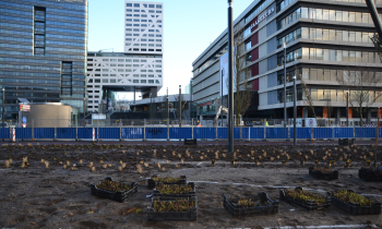 Jaarbeursplein (2).JPG