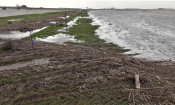 Noordwaard - website versie.JPG