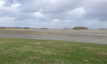 Noordwaard - website versie2.JPG