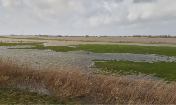 Noordwaard - website versie3.JPG