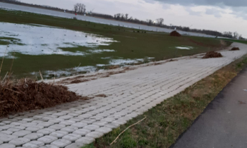 Noordwaard opruimen (9).jpeg