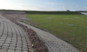 02 Noordwaard opruimen.JPG