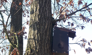 Ophangen vogelhuisjes 77.jpg