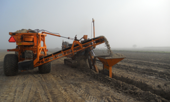 drainage 2.JPG