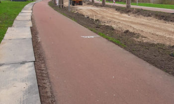 DDfoto1.JPG