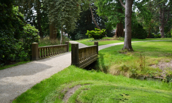 Baarn3.JPG