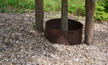 Baarn9.JPG