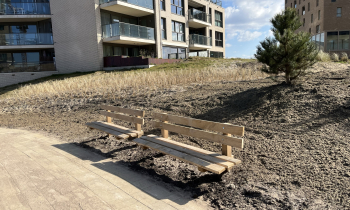 ALMERE3.JPEG