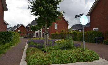 Afbeelding2.jpg