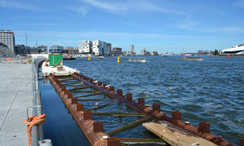 DSC_0289.JPG