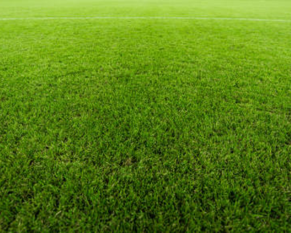 close up kunstgras