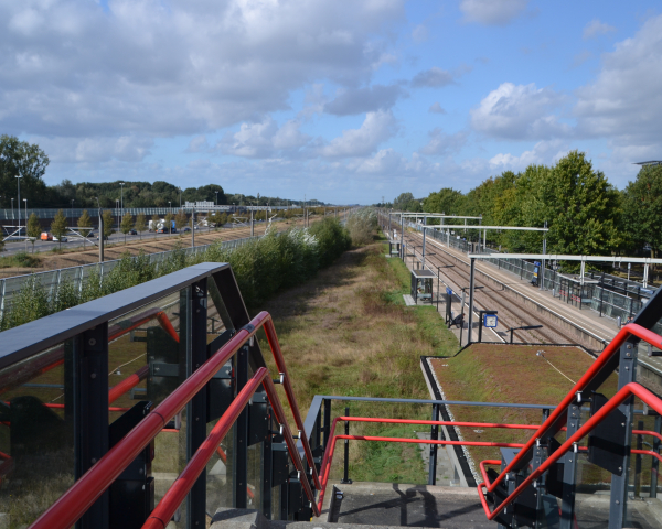 A16 Fredo Mathijs Visscher (37).JPG