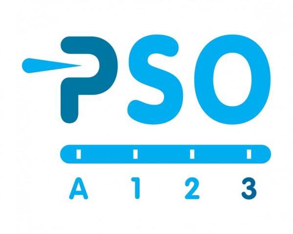 PSO.jpg