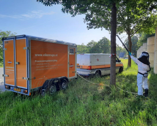 Bestrijden eikenprocessierups2.jpg