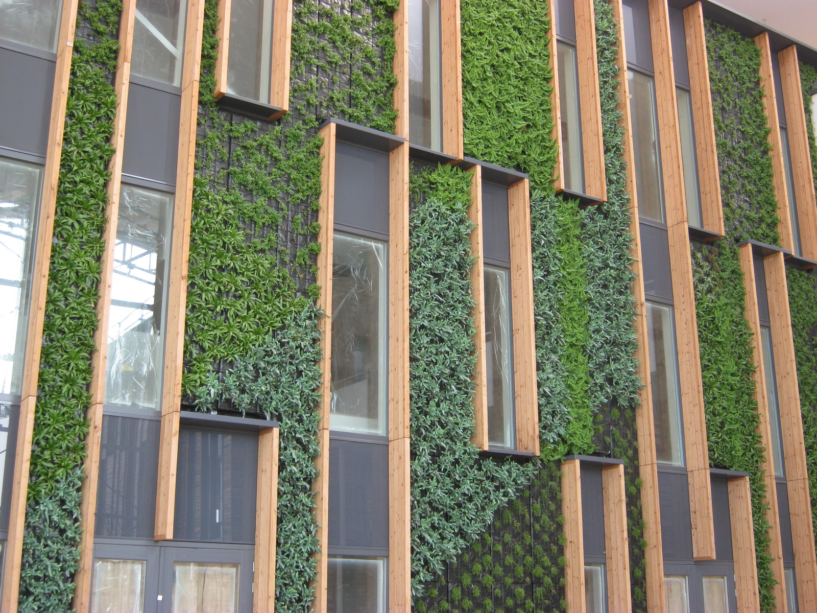 Groen aan wand