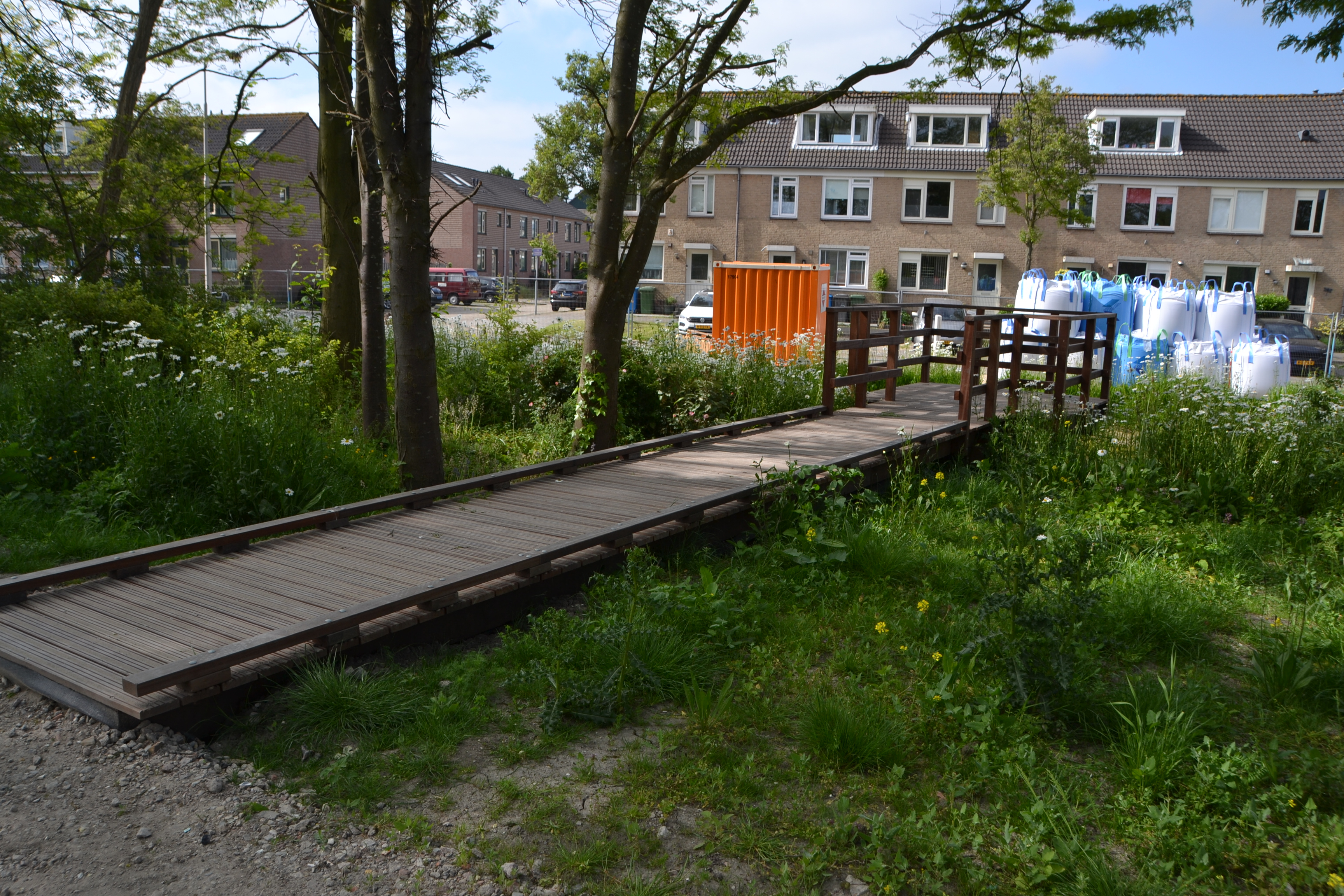 DSC_0055.JPG